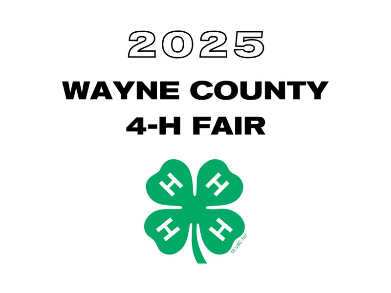 Fair Logo
