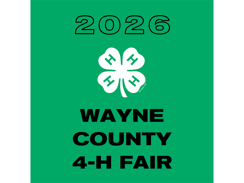 Fair Logo